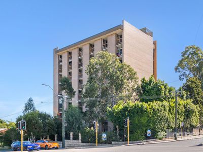42 / 537 William Street, Mount Lawley