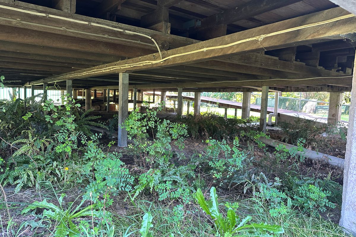 25 George Street, Woodford