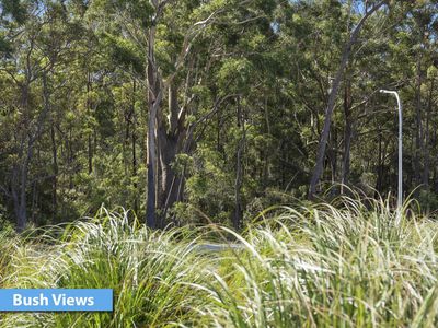 128 Seaspray Street, Narrawallee