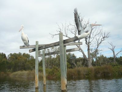 55 / 308 Great Eastern Highway, Ascot