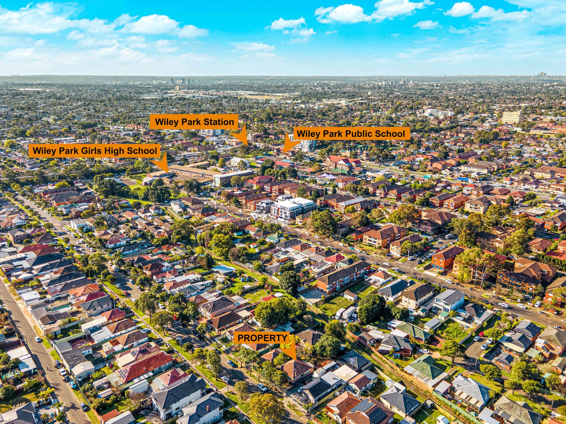 60 Renown Avenue, Wiley Park