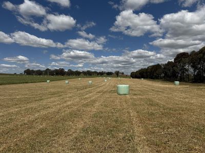 798 Bethel Road, Glenellen