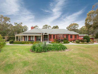 9 Mountain View Terrace, Avondale