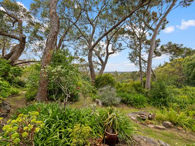 264 Ackland Hill Road, Coromandel East