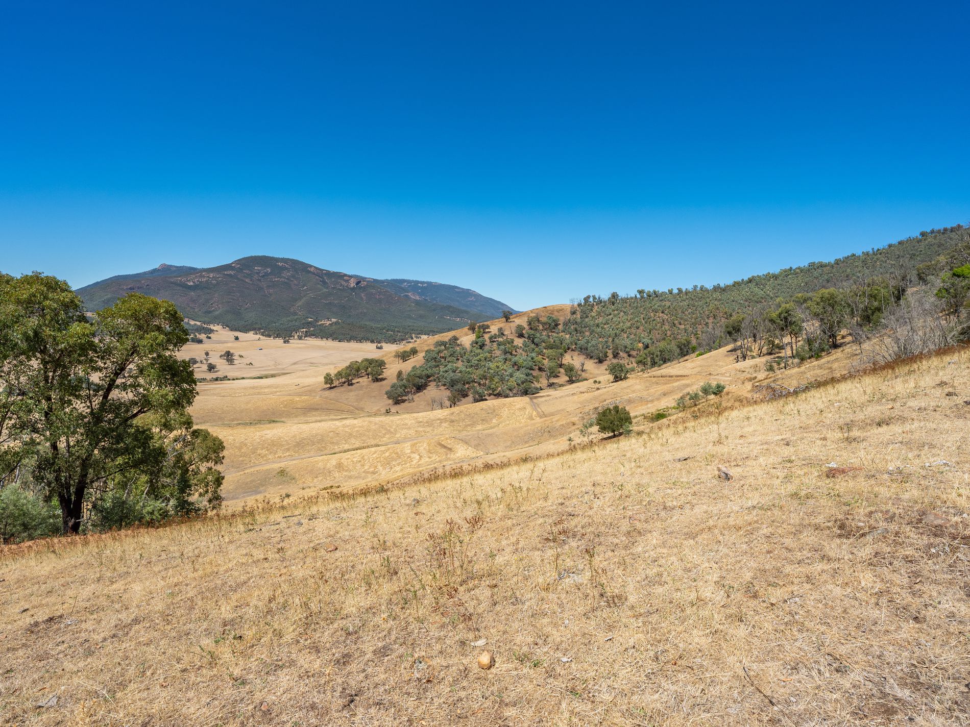 Lot 2 Shelley Road, Walwa