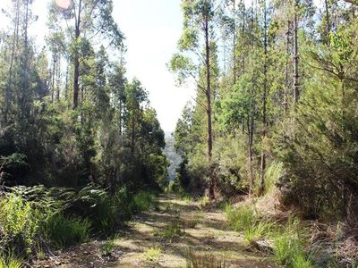 Land Off Steeles Road, Nicholls Rivulet