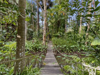11 Annie Street, Landsborough