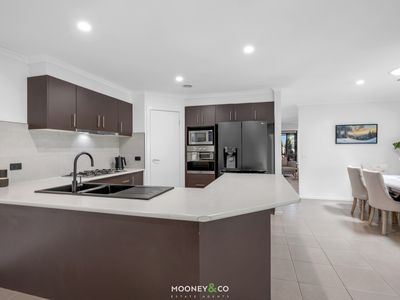 48 Ferndown Drive, Cranbourne