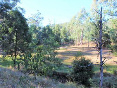 Lot 8, Wild Dog Road, Merrijig