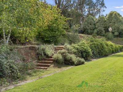 169 Simmonds Creek Road, Tawonga South