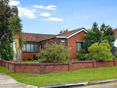 18 Yanderra Street, Condell Park