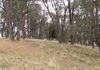 462 Giles Road, Orange