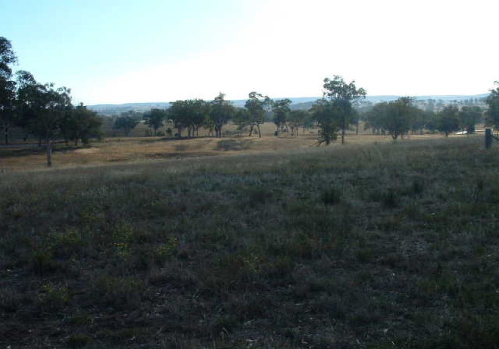 2474 Mitchell Highway, Molong