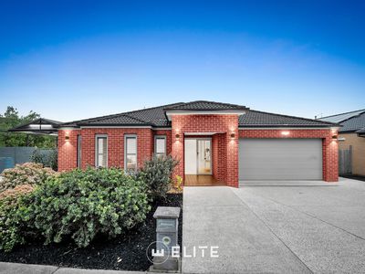 144 Alisma Boulevard, Cranbourne North