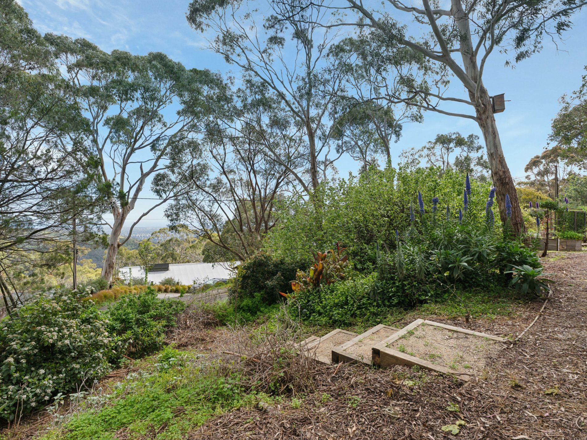 126 Yarrabee Road, Greenhill