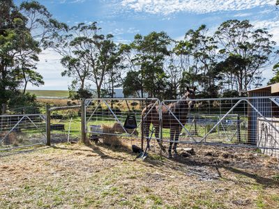 211 Back Line Road, Forest