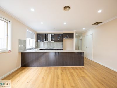 10 Water Fern Grove, Greenvale