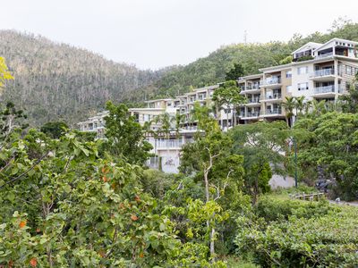 32 / 15 Flame Tree Court, Airlie Beach