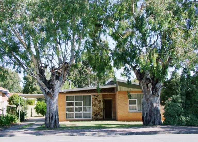 309 Oaklands Road, Marion