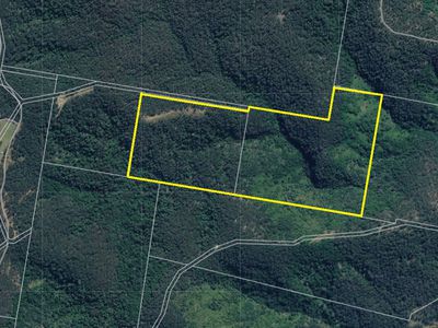 Lot 220 Comboyne Road, Byabarra