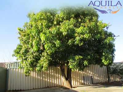 16 Percheron Entrance, Stratton