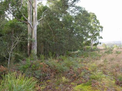 Ellendale Road, Westerway