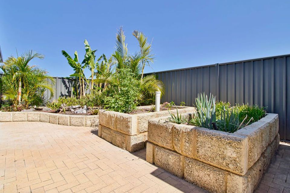 5 Diamondbird  , Baldivis