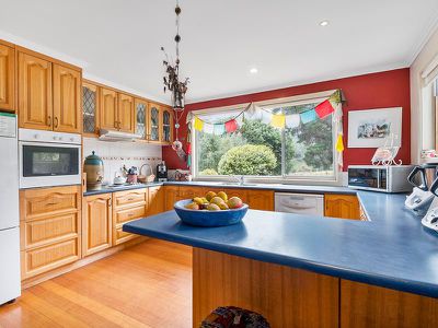 300 Forsters Rivulet Road, Lymington
