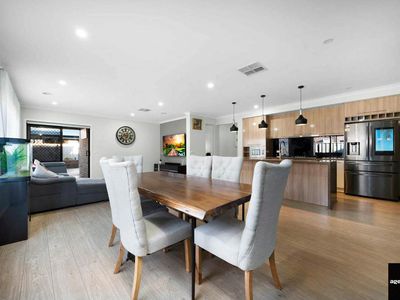 38 Wedgebill Circuit, Werribee
