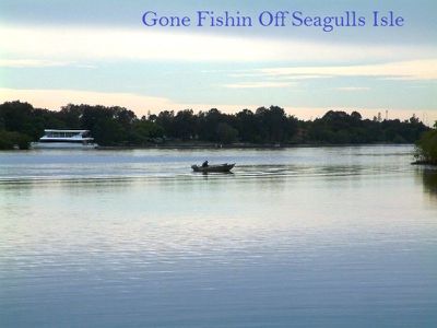 2 / 137 Sunset Boulevarde, Tweed Heads West