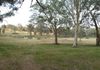 237  Cullya Road - , Orange