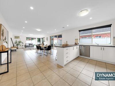 13 Foxglove Lane, Craigieburn