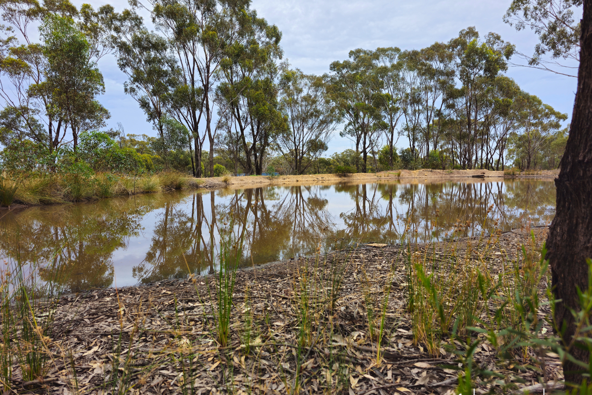 Lot 98 Middle Road, Rushworth