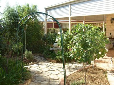 10 Ivy Place, Mount Gambier