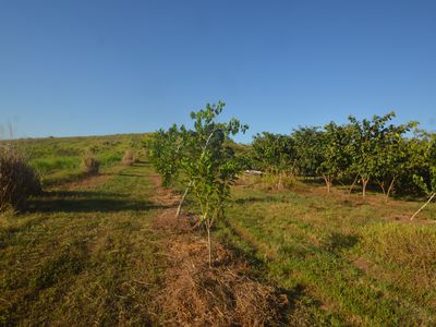 1212 Innisfail Japoon Road, Camp Creek