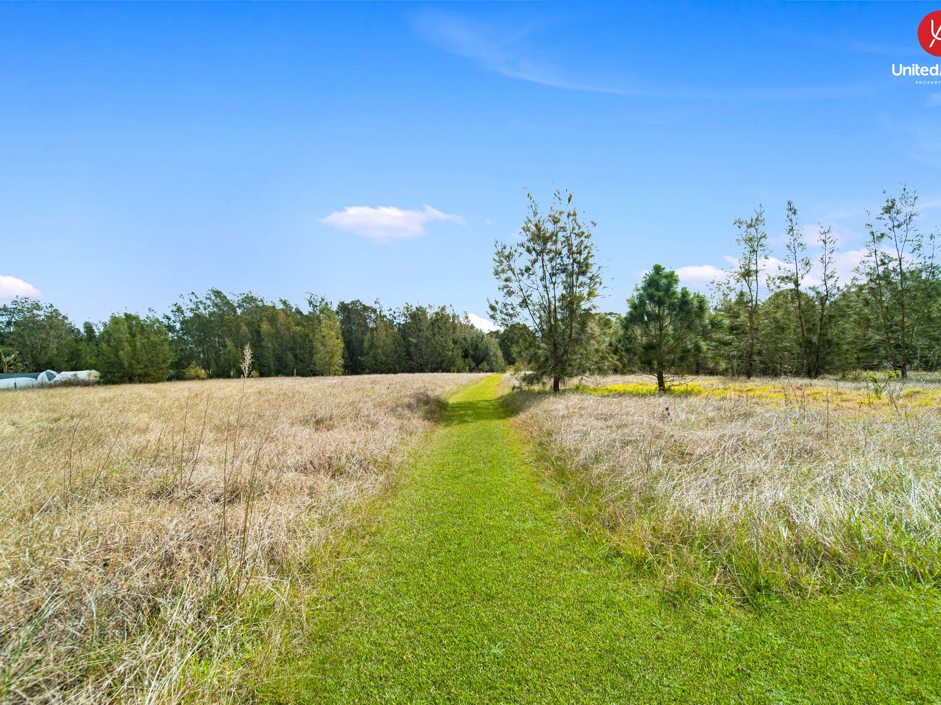 231 Dwyer Road, Leppington