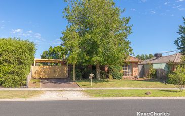 11 Sylvia Road, Beaconsfield