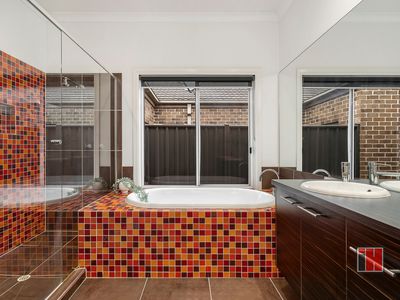 19 Greig Drive, Mernda