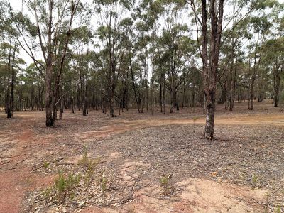 595 Bayles Road, Murchison