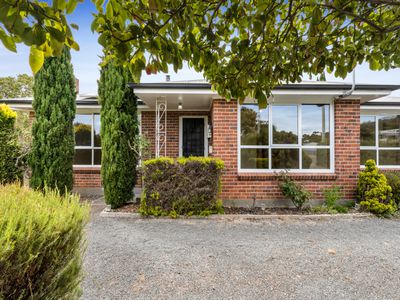 234 Weld Street, Beaconsfield