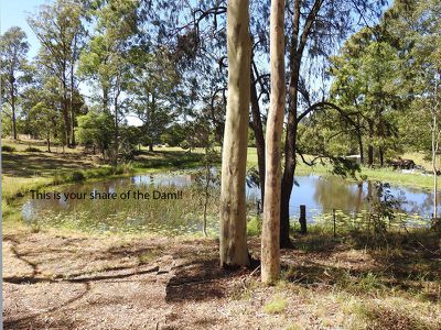 23 Chelmsbrook Drive, Rainbow Flat