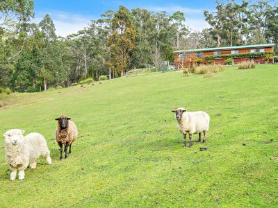 34 Kallista Drive, Huonville