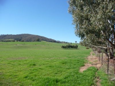 Gundowring Road, Gundowring