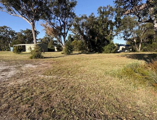 One Acre Corner Block with Massive Shed in the Heart of Poona image 12