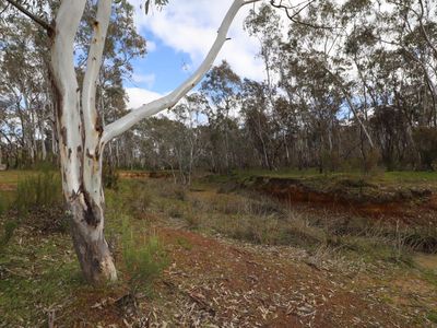 Lot 2 Davis Road, Mount Camel