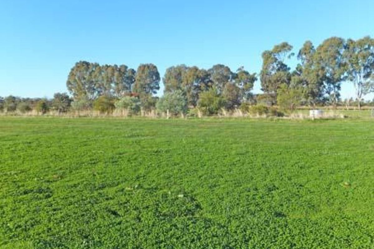Trevaskis Road, Kyabram