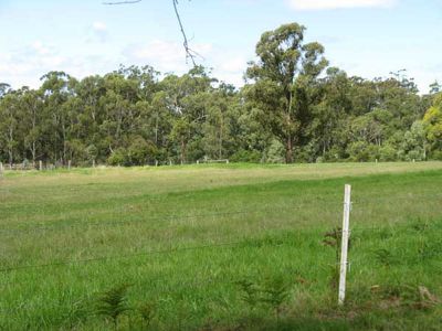 564 Back Creek Road, Lochiel