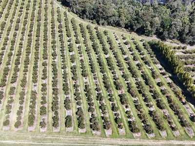 154 Foleys Road, North Gregory