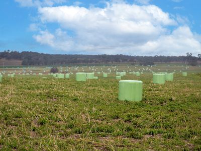 Lot Plain View Aggregation, 916 Emmaville Road, Glen Innes