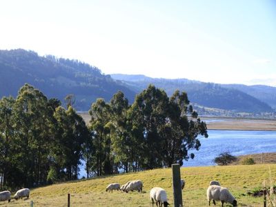 1652 Cygnet Coast Road, Cradoc